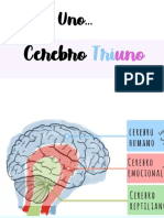 Cerebro Triuno B#1