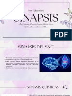 SINAPSIS