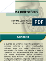 Aula 9 - Sistema Digestório