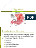 Digestion