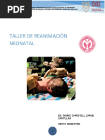 Manual de Reanimacion Neonatal