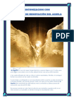 Manual Sintonización El Vuelo de Renovacion Del Aguila-Ashram Del Grial