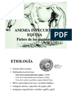 Anemia Infecciosa Equina PDF