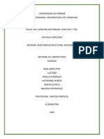 Informe de Laboratorio Microbiología