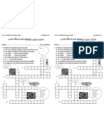 Celulas Unicelulares Crucigrama