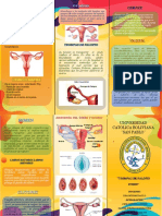 Triptico Anatomia ..... Expo