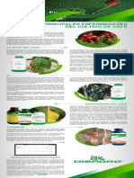 Principales Enfermedades Del Cultivo de Cafe