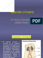 Sistema Renal