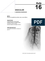 Sistema Vascular PDF