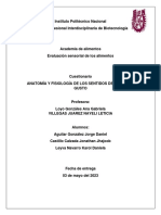 Cuestionario de La Anatomía y Fisiología de Los Sentidos Del Olfato y Gusto