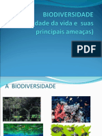 Aula Biodiversidade