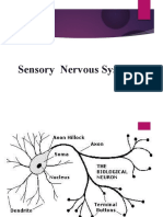 Cns 1