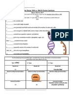 Dna Vs Rna and Protein Synthesis Updated Recap by Amoeba Sisters