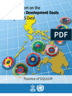 MDG Provincial Report 2010 Siquijor