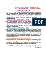 Tipos de Contaminacion Ambiental