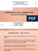 Fisiologia Del Embarazo y Lactancia