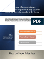 Clasificación de Microorganismos Específicos de La Placa Dental-Wbayas