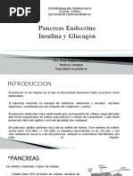 Fisiologia de L Pancreas Endocrino