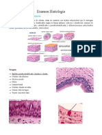 Examen Histología