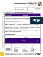 Guía Metodologica - Practicadocente