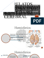 Correlatos Neuroanatómicos y Daño Cerebral