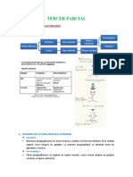 Farmacología Tercer Parcial