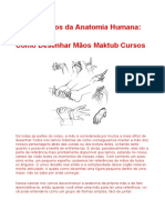 Fundamentos Da Anatomia Humana Como Desenhar Mão Maktub Curso Desenho