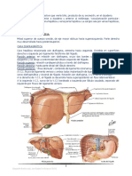 Copia de 3 - Unidad Hepato - Bilio - Pancreática y Circulación Portal