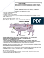 Endocrinology