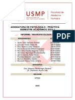 Informe 15 Neuropatologia Ii