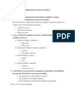 Examen de Patologia Vegetal.