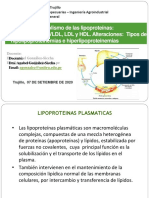 T-24 Metabolismo Lipoproteinas