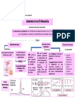 Organizador Grafico Sobre Amenorrea Primaria I