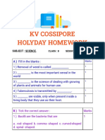 Holyday Homework Class 8