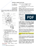 Sistema Cardiovascular