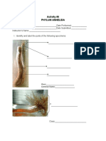 Act. 6 - Phylum Annelida - Worksheet