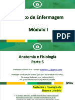 Aulas Anatomia e Fisiologia - Parte 5 - S. Urinário e S. Reprodutores