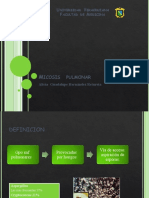 Micosis Pulmonar