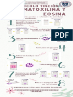 Protocolo de Tinción Hematoxilina &eosina