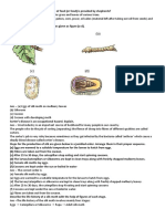 VII Fibre To Fsabric Extra Questions