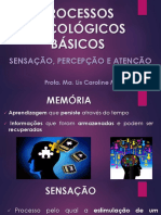 Aula 3 - Sensação Percepção e Memória