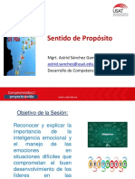 4 DCP Sentido - de - Propósito