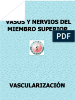 Vasos y Nervios Del Miembro Superior 2013