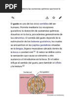 Concepto Del Sentido Del Gusto