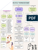 Mapa Conceptual - Trabajo Extra