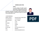 Curriculum Vitae Hernandez