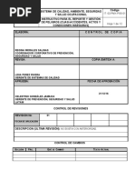 IT-02-PMX-PSS-01 Instructivo, Cuasi Accidentes, Actos y Condicones Inseguras Enero 2017