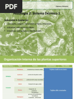 Histologiasist Dermico