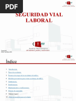 Presentacion Seguridad Vial Laboral V01 - Modificada