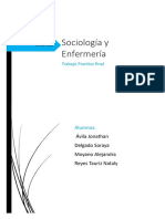 Trabajo Practico Final - SOCIOLOGIA